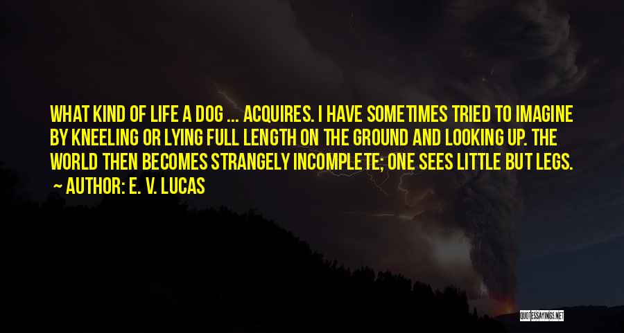 E. V. Lucas Quotes 616127