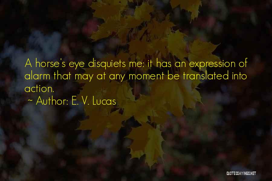 E.v Quotes By E. V. Lucas