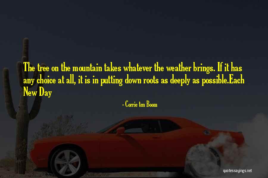 Each Day Brings Quotes By Corrie Ten Boom Each Day Brings Quotes By Corrie Ten Boom