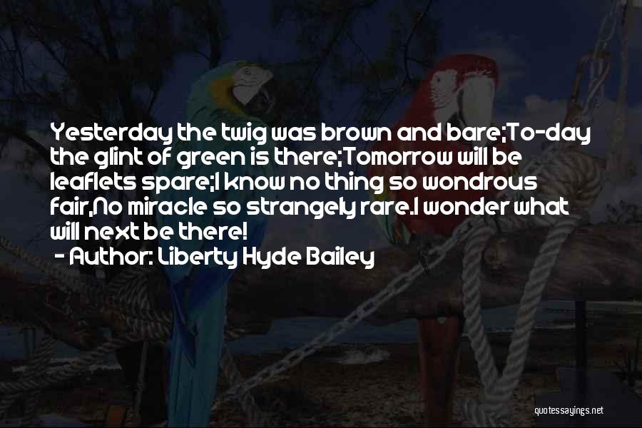 Each Day Is A Miracle Quotes By Liberty Hyde Bailey