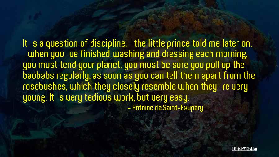 Each Morning Quotes By Antoine De Saint-Exupery Each Morning Quotes By Antoine De Saint-Exupery