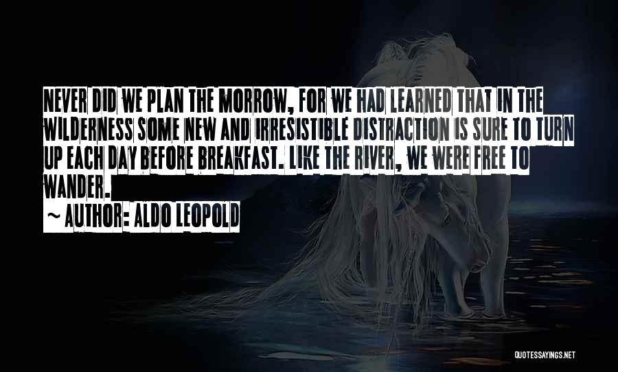 Each New Day Quotes By Aldo Leopold