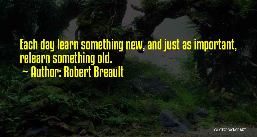 Each New Day Quotes By Robert Breault
