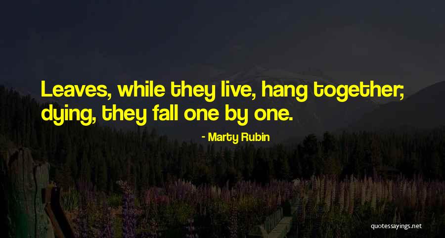 Eades Fencing Quotes By Marty Rubin Eades Fencing Quotes By Marty Rubin