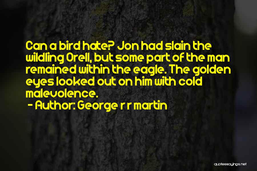 Eagle Eyes Quotes By George R R Martin
