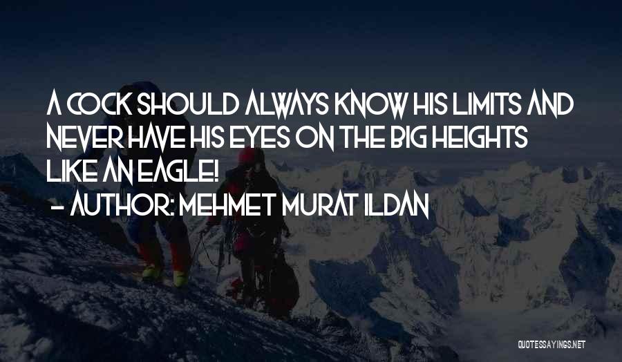 Eagle Eyes Quotes By Mehmet Murat Ildan