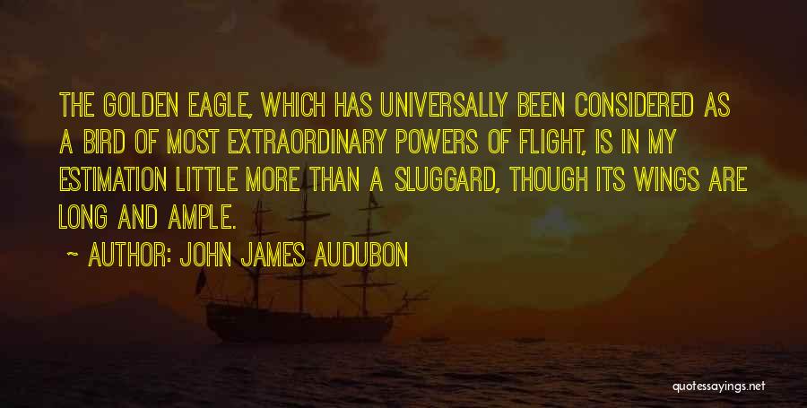 Eagle Flight Quotes By John James Audubon