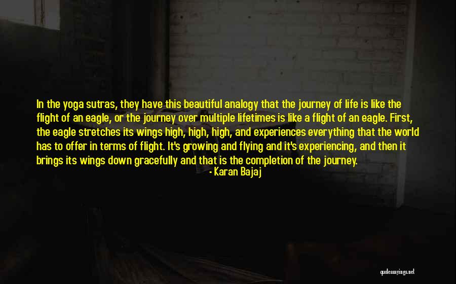 Eagle Flying Quotes By Karan Bajaj Eagle Flying Quotes By Karan Bajaj