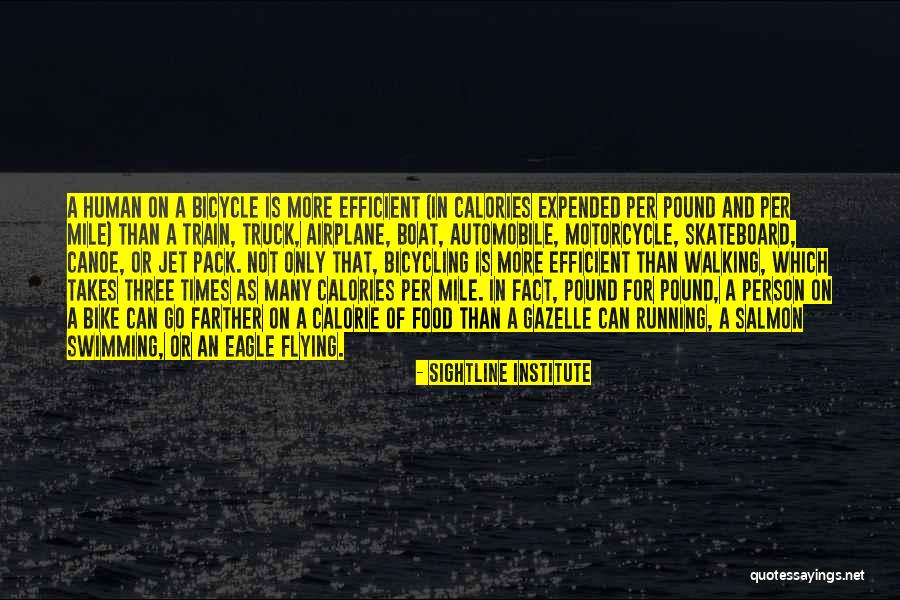 Eagle Flying Quotes By Sightline Institute Eagle Flying Quotes By Sightline Institute