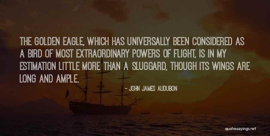 Eagle S Wings Quotes By John James Audubon Eagle S Wings Quotes By John James Audubon
