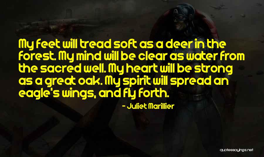 Eagle S Wings Quotes By Juliet Marillier Eagle S Wings Quotes By Juliet Marillier