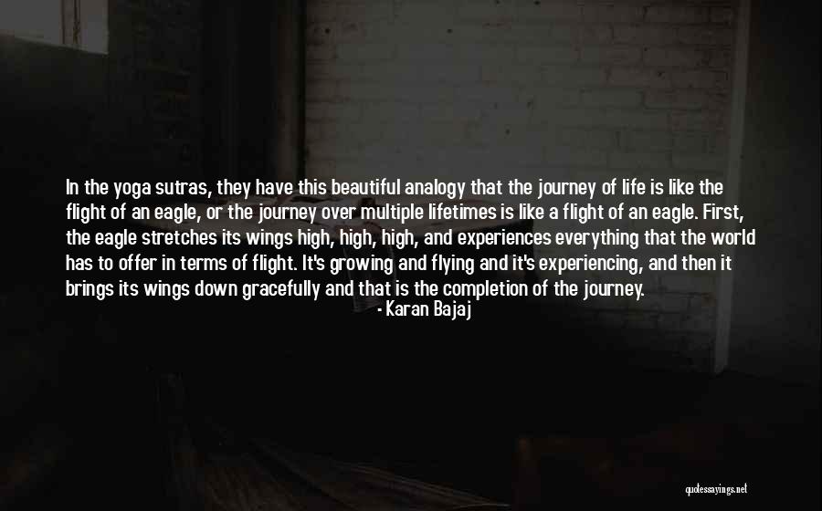 Eagle S Wings Quotes By Karan Bajaj Eagle S Wings Quotes By Karan Bajaj