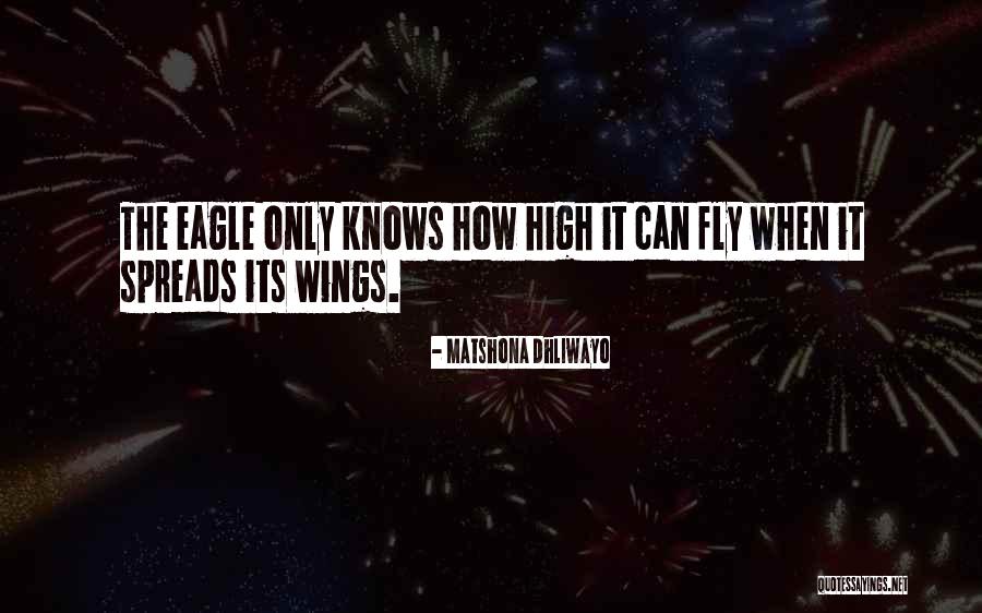 Eagle S Wings Quotes By Matshona Dhliwayo Eagle S Wings Quotes By Matshona Dhliwayo