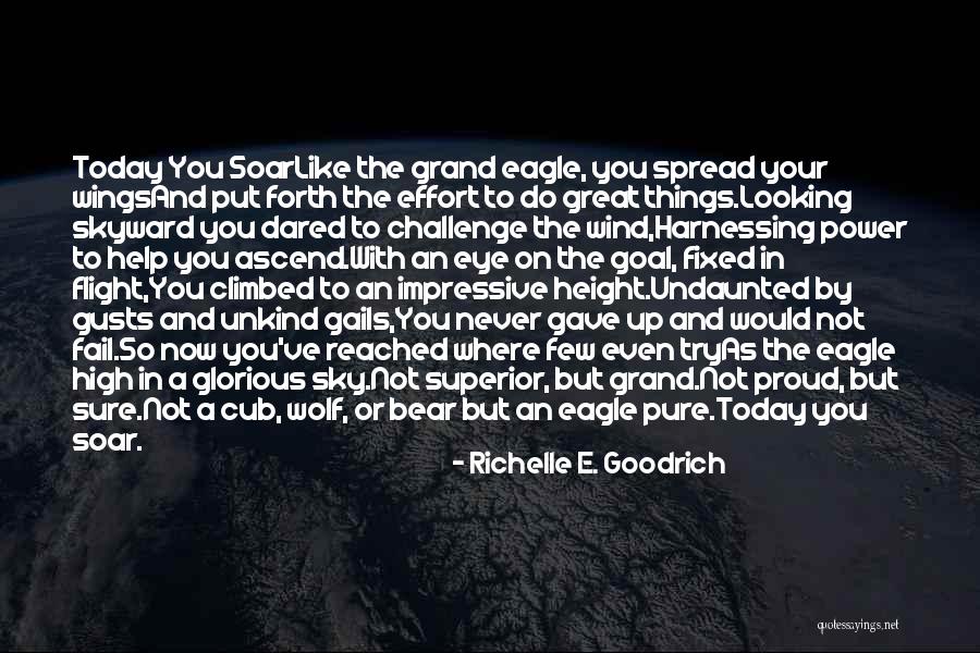 Eagle Scouts Quotes By Richelle E. Goodrich