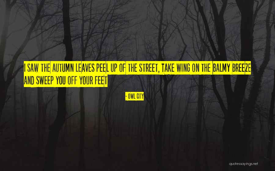 Eagleman Triathlon Quotes By Owl City Eagleman Triathlon Quotes By Owl City