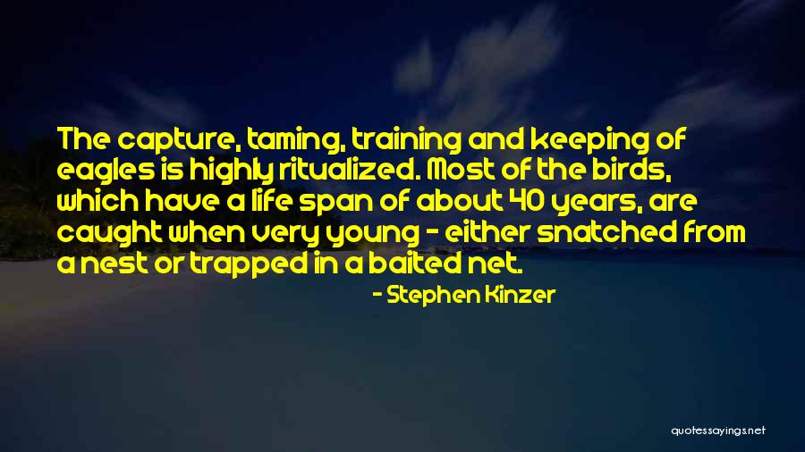 Eagles And Life Quotes By Stephen Kinzer