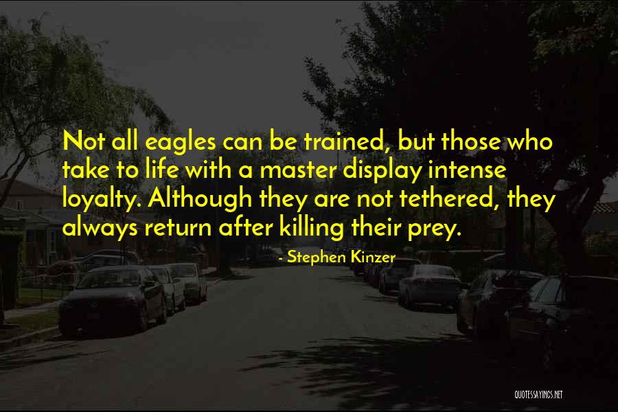 Eagles And Life Quotes By Stephen Kinzer