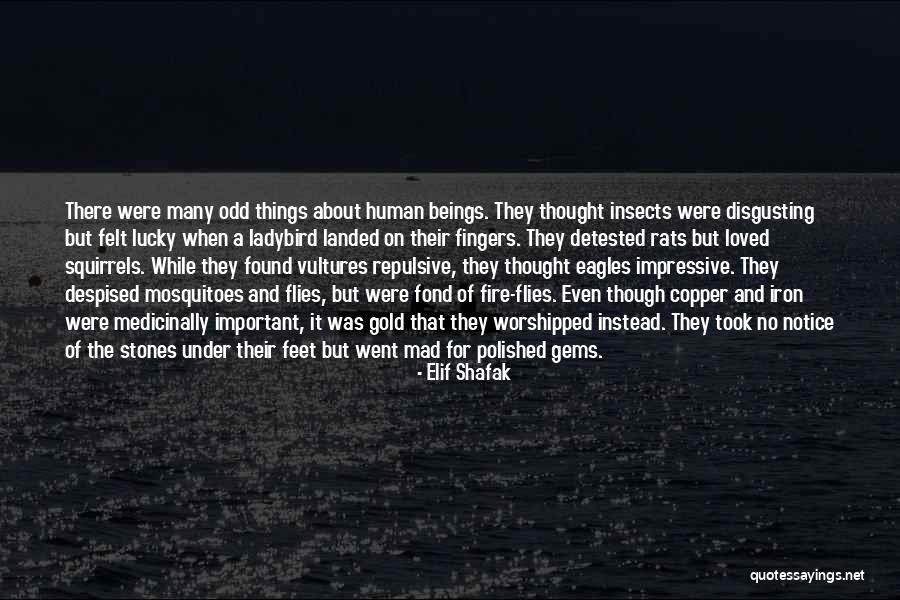 Eagles And Vultures Quotes By Elif Shafak Eagles And Vultures Quotes By Elif Shafak