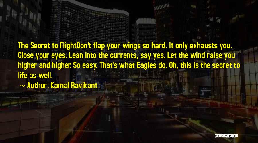 Eagles Eyes Quotes By Kamal Ravikant