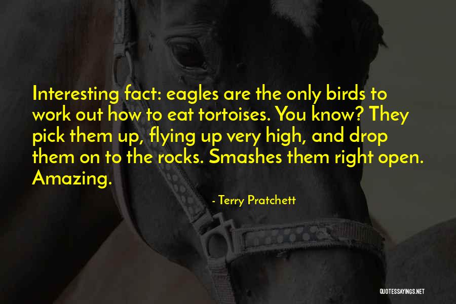 Eagles Flying High Quotes By Terry Pratchett Eagles Flying High Quotes By Terry Pratchett