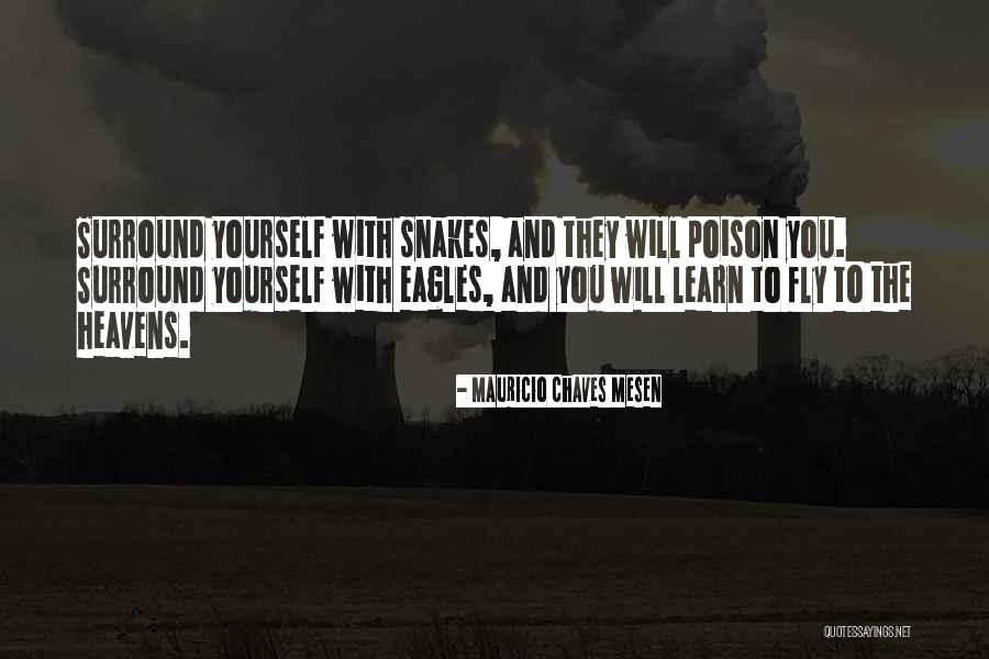 Eagles Learn To Be Still Quotes By Mauricio Chaves Mesen Eagles Learn To Be Still Quotes By Mauricio Chaves Mesen