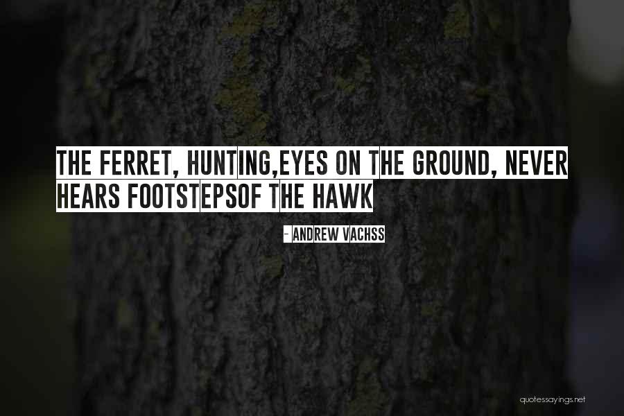 Eagles Lotr Quotes By Andrew Vachss Eagles Lotr Quotes By Andrew Vachss