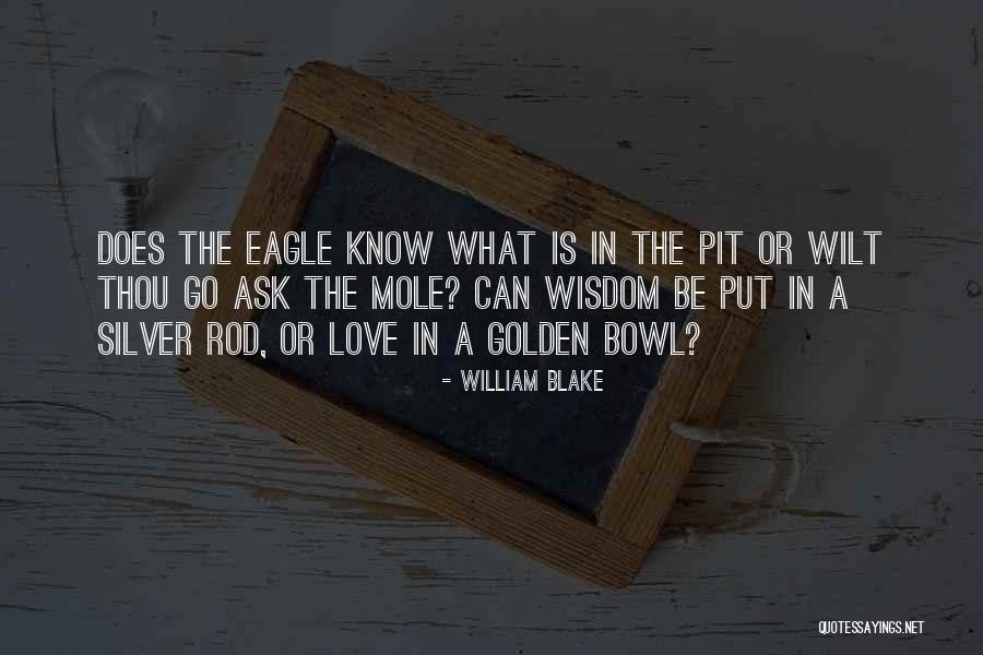 Eagles Love Quotes By William Blake Eagles Love Quotes By William Blake