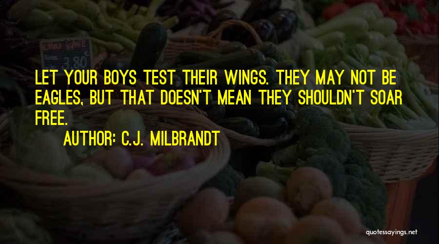 Eagles Soar Quotes By C.J. Milbrandt