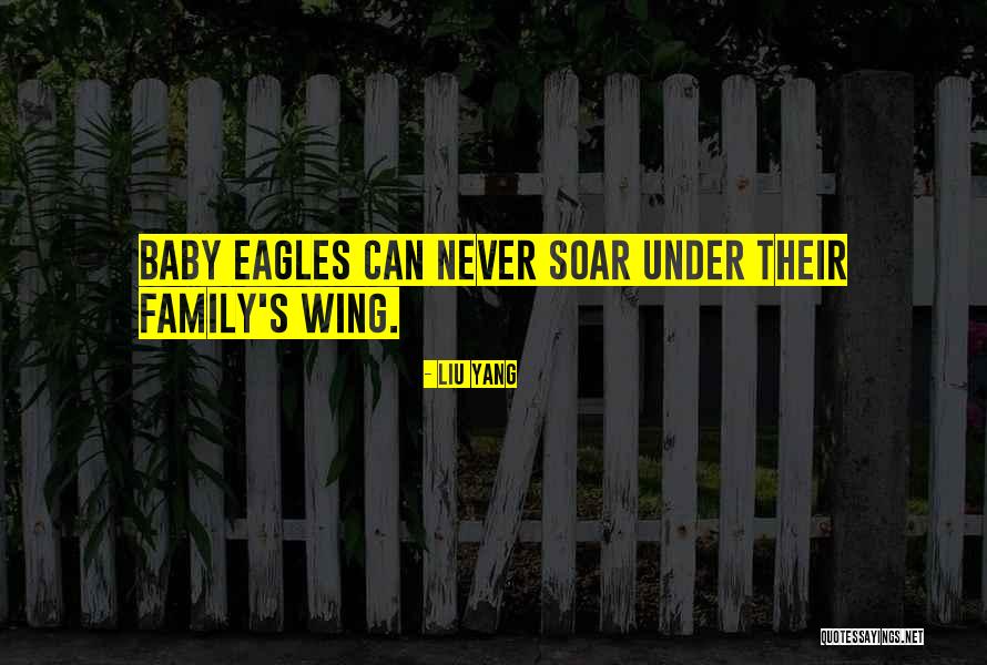 Eagles Soar Quotes By Liu Yang