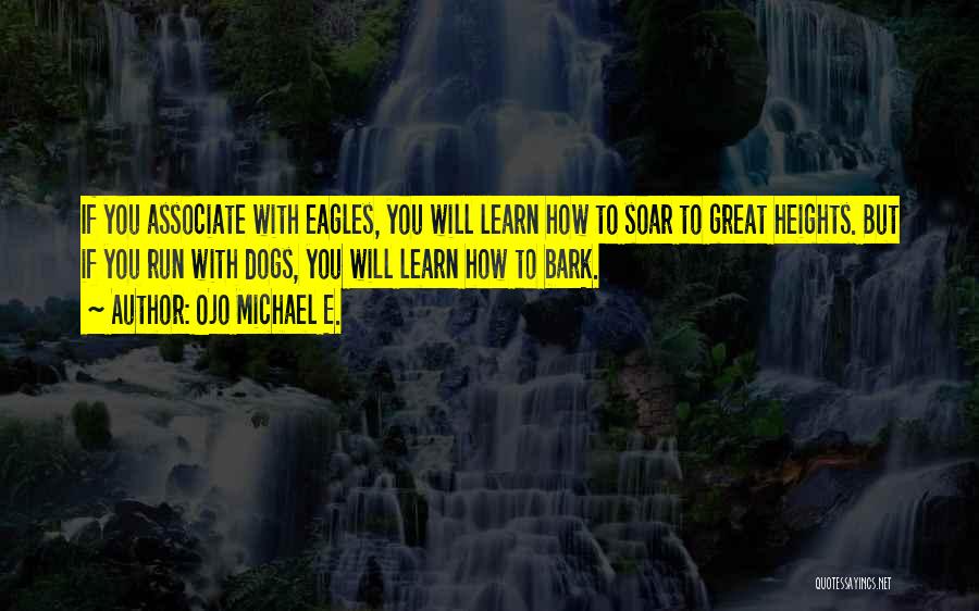 Eagles Soar Quotes By Ojo Michael E.