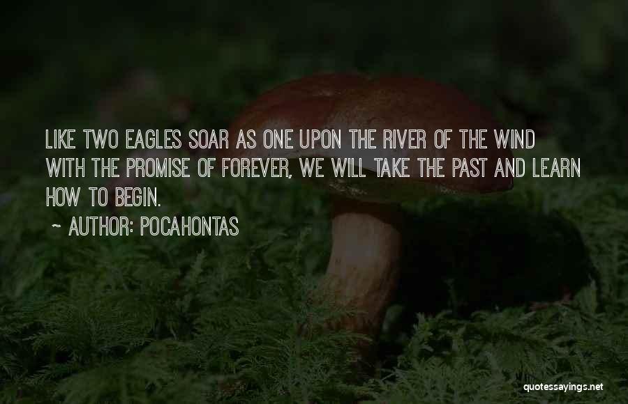 Eagles Soar Quotes By Pocahontas