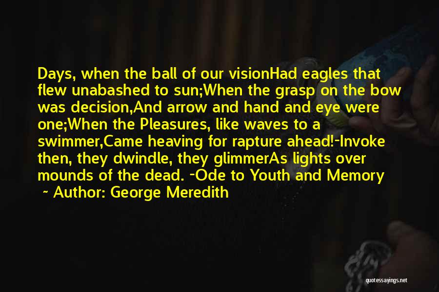 Eagles Vision Quotes By George Meredith