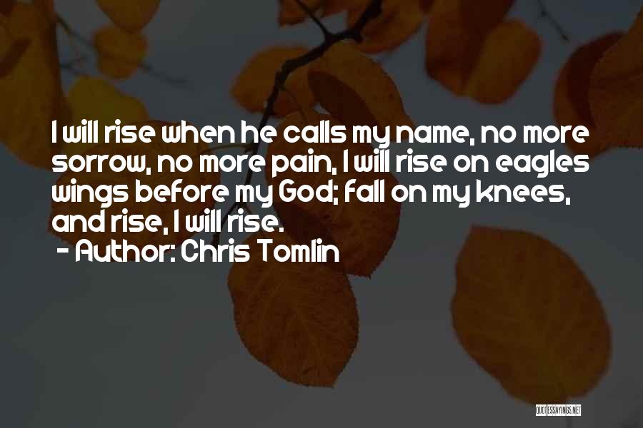 Eagles Wings Quotes By Chris Tomlin