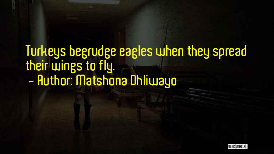 Eagles Wings Quotes By Matshona Dhliwayo