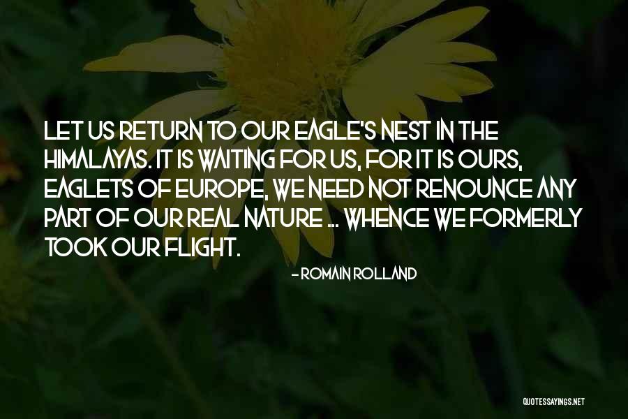 Eaglets In Nest Quotes By Romain Rolland Eaglets In Nest Quotes By Romain Rolland