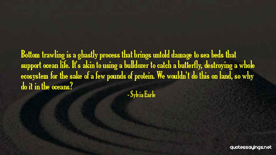 Earle Sylvia Quotes By Sylvia Earle Earle Sylvia Quotes By Sylvia Earle