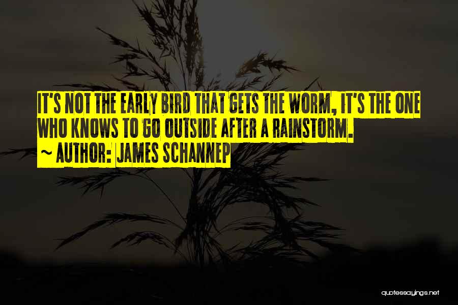 Early Bird Gets The Worm And Other Quotes By James Schannep