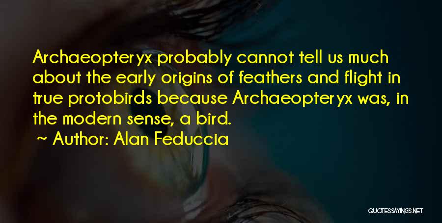 Early Bird Quotes By Alan Feduccia