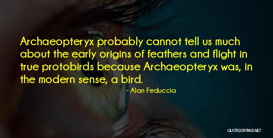 Early Bird Quotes By Alan Feduccia