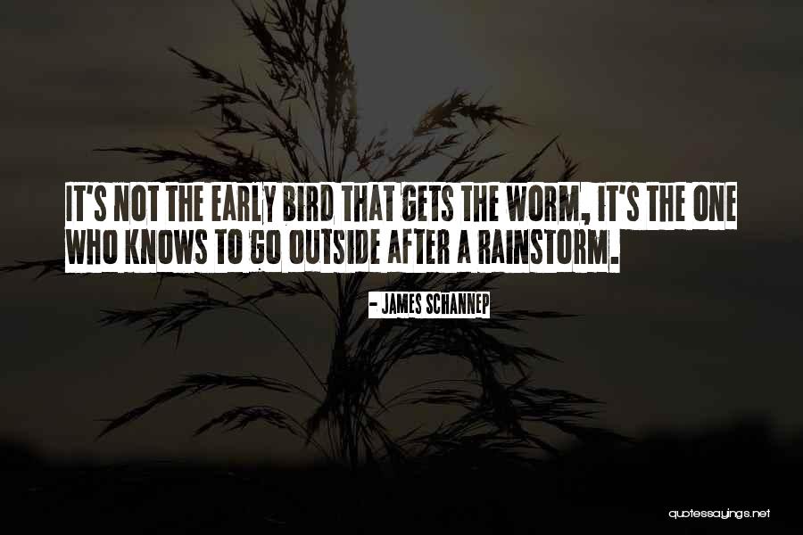 Early Bird Quotes By James Schannep