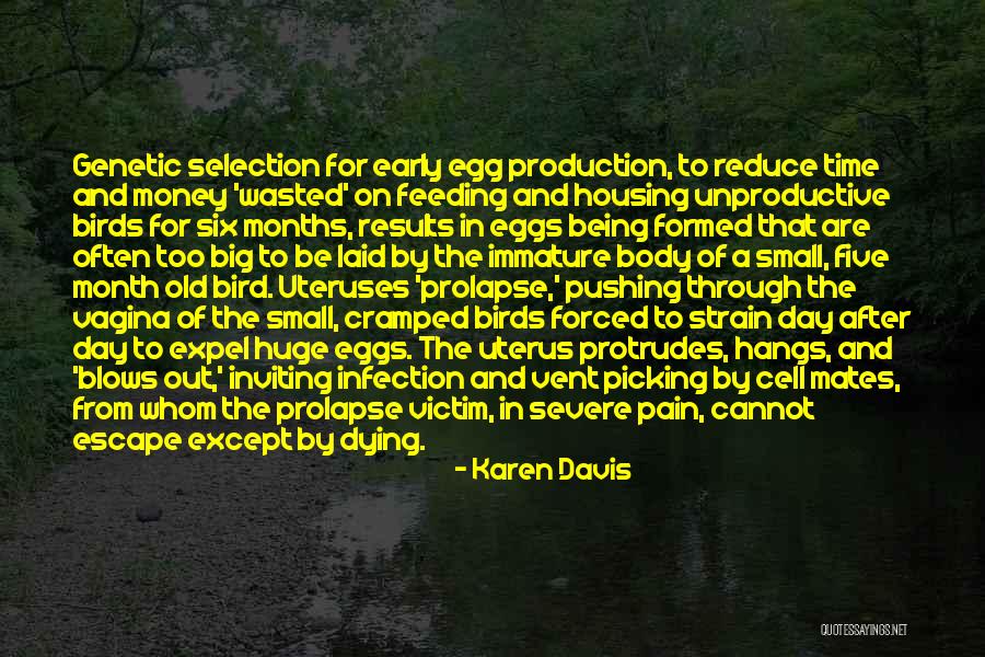 Early Bird Quotes By Karen Davis