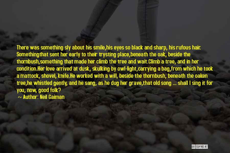 Early Love Quotes By Neil Gaiman