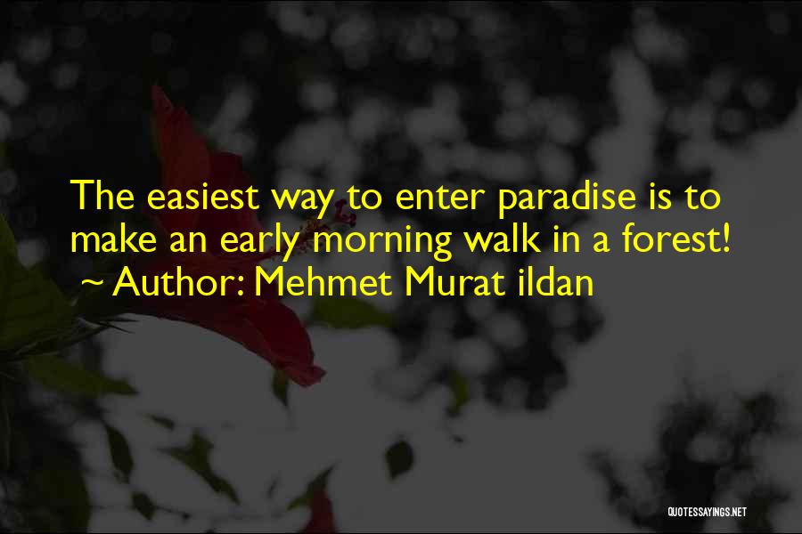 Early Morning Walk Quotes By Mehmet Murat Ildan