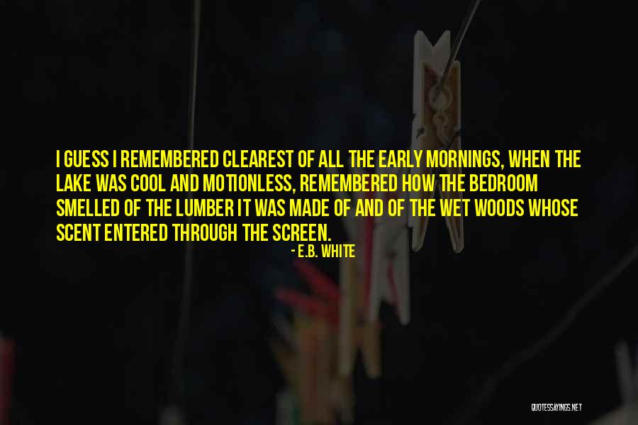 Early Mornings Quotes By E.B. White Early Mornings Quotes By E.B. White