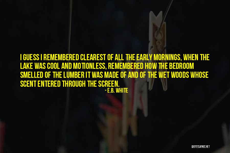 Early Mornings Quotes By E.B. White