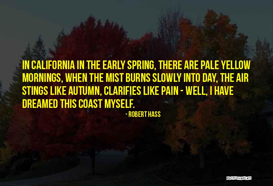 Early Mornings Quotes By Robert Hass Early Mornings Quotes By Robert Hass