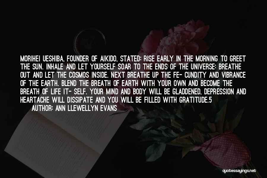 Early Rise Quotes By Ann Llewellyn Evans