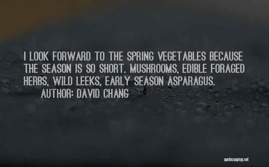 Early Spring Quotes By David Chang