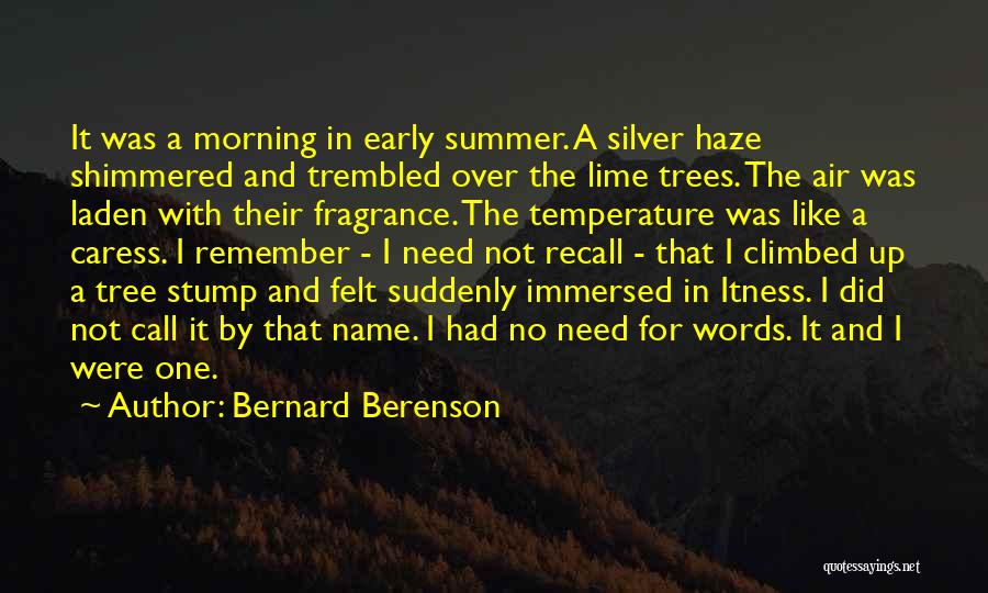 Early Summer Morning Quotes By Bernard Berenson