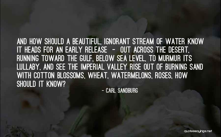 Early To Rise Quotes By Carl Sandburg